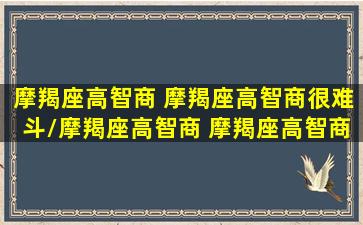 摩羯座高智商 摩羯座高智商很难斗/摩羯座高智商 摩羯座高智商很难斗-我的网站